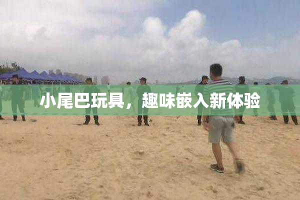 小尾巴玩具，趣味嵌入新体验