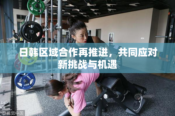 日韩区域合作再推进，共同应对新挑战与机遇