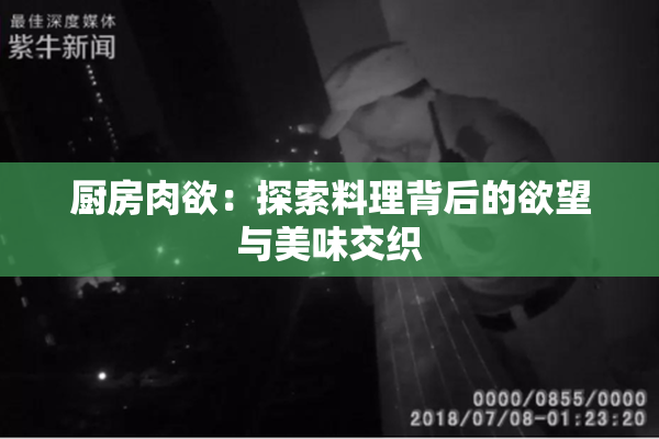 厨房肉欲：探索料理背后的欲望与美味交织