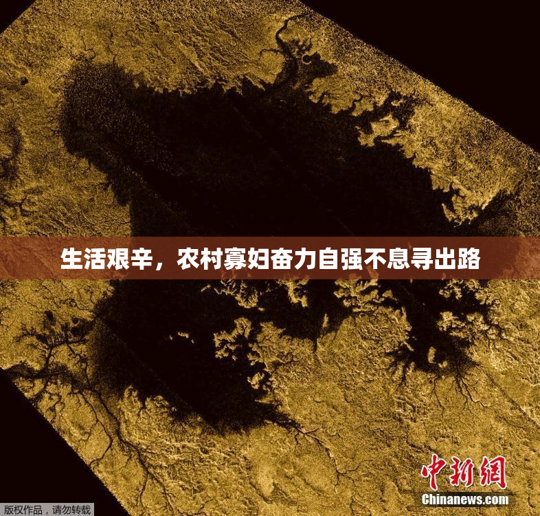 生活艰辛，农村寡妇奋力自强不息寻出路
