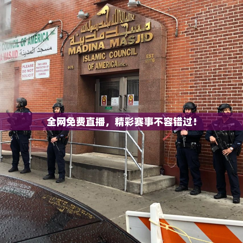全网免费直播，精彩赛事不容错过！