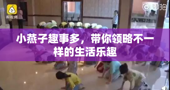 小燕子趣事多，带你领略不一样的生活乐趣