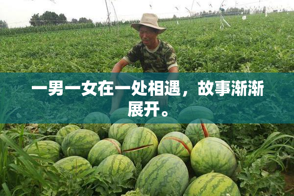 一男一女在一处相遇，故事渐渐展开。