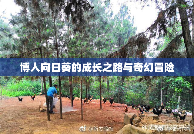 博人向日葵的成长之路与奇幻冒险