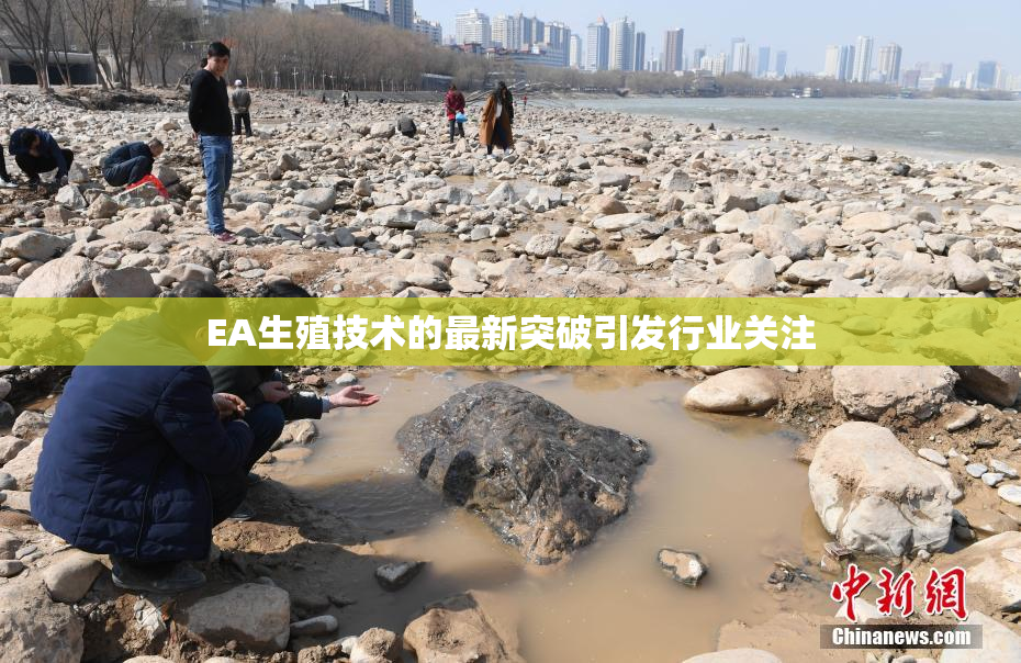 EA生殖技术的最新突破引发行业关注