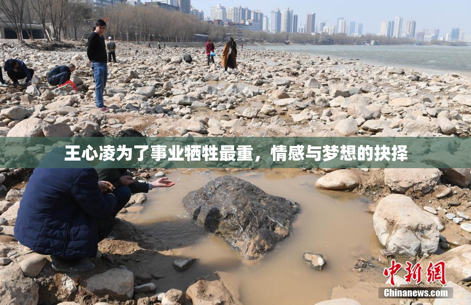 王心凌为了事业牺牲最重，情感与梦想的抉择