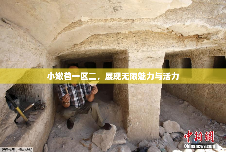 小嫩苞一区二，展现无限魅力与活力