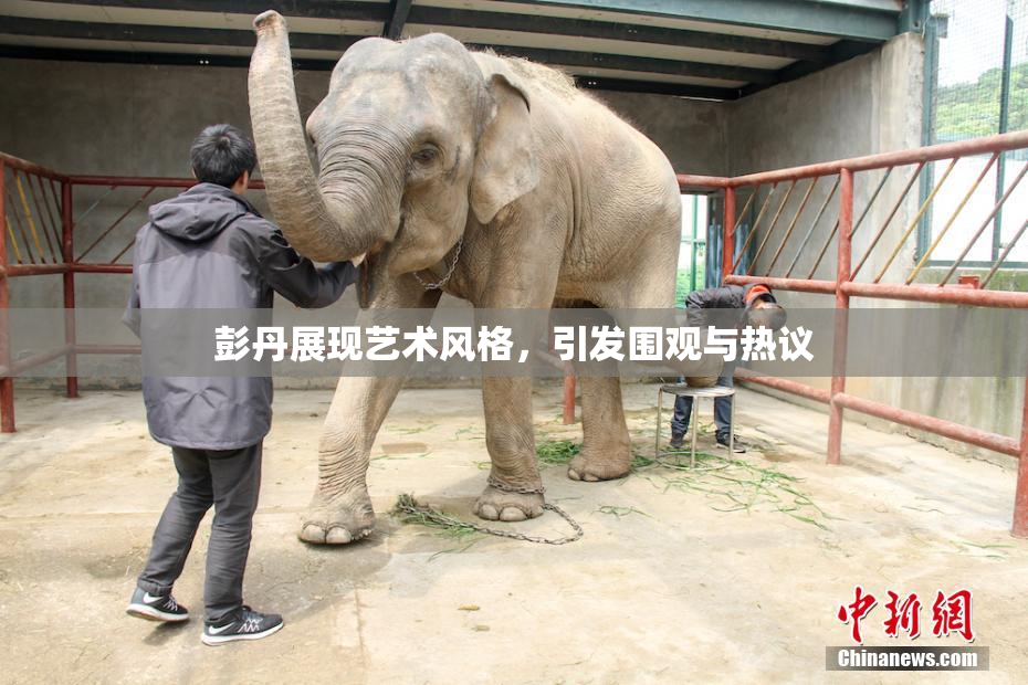 彭丹展现艺术风格，引发围观与热议