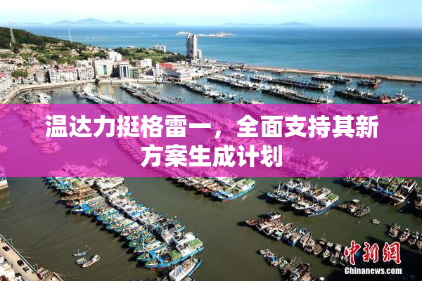 温达力挺格雷一，全面支持其新方案生成计划