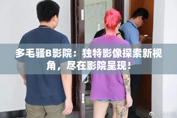 多毛骚B影院：独特影像探索新视角，尽在影院呈现！