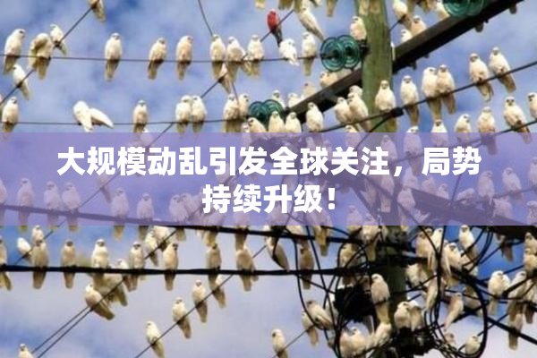 大规模动乱引发全球关注，局势持续升级！