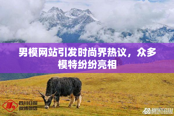 男模网站引发时尚界热议，众多模特纷纷亮相