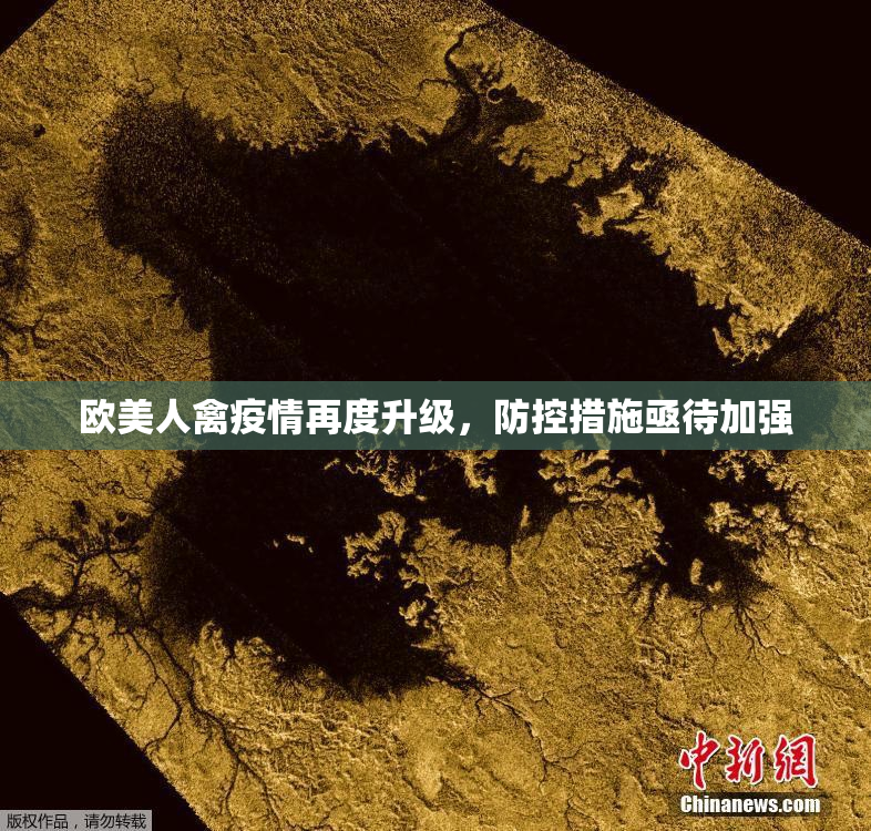 欧美人禽疫情再度升级，防控措施亟待加强