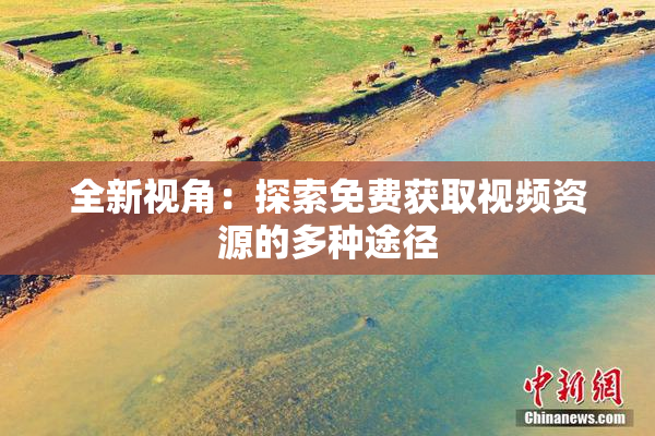 全新视角：探索免费获取视频资源的多种途径