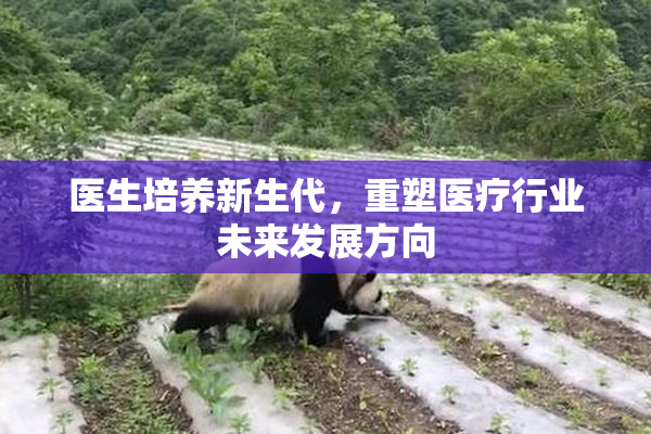 医生培养新生代，重塑医疗行业未来发展方向