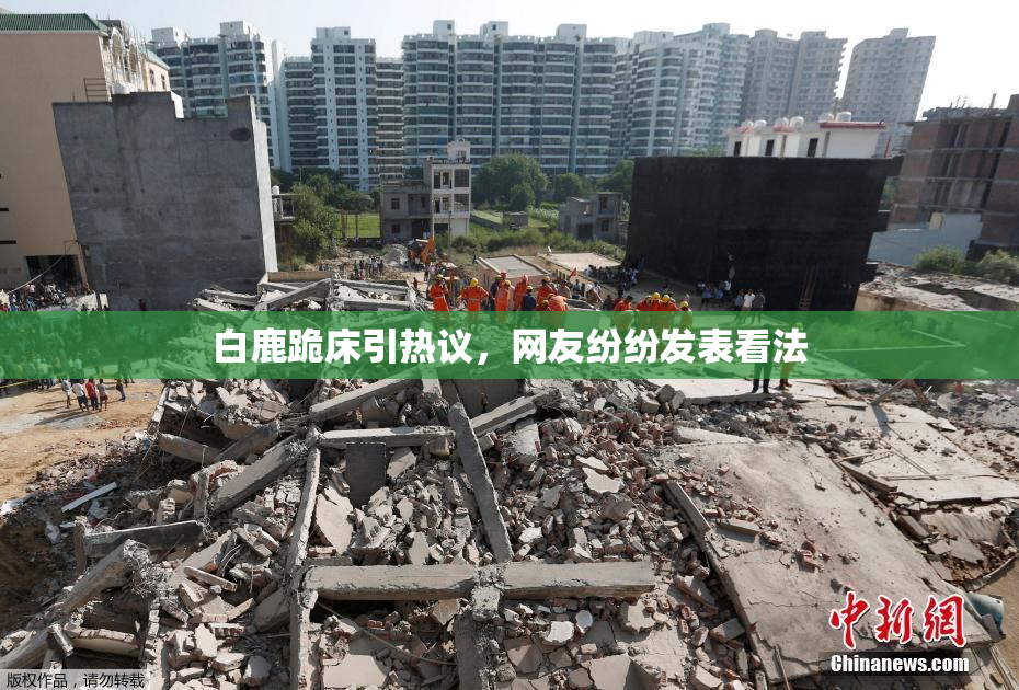 白鹿跪床引热议，网友纷纷发表看法
