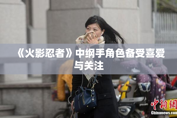 《火影忍者》中纲手角色备受喜爱与关注