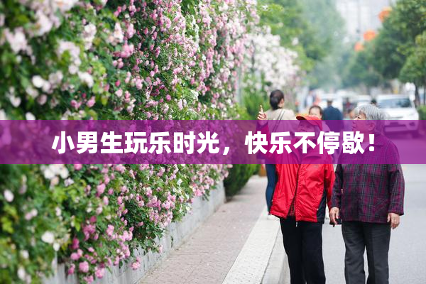 小男生玩乐时光，快乐不停歇！