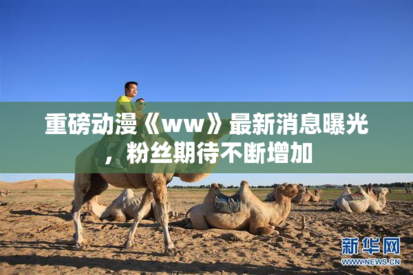 重磅动漫《ww》最新消息曝光，粉丝期待不断增加