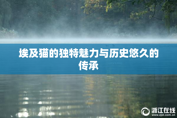 埃及猫的独特魅力与历史悠久的传承
