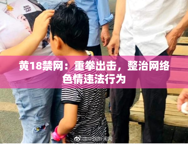 黄18禁网：重拳出击，整治网络色情违法行为