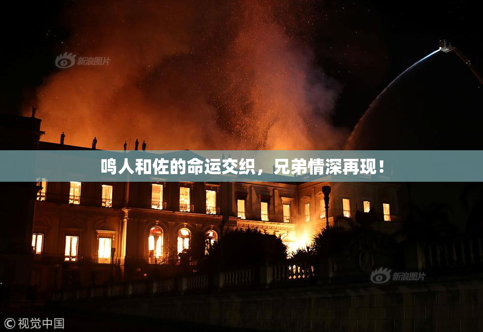 鸣人和佐的命运交织，兄弟情深再现！