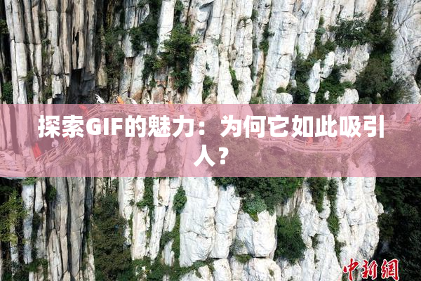 探索GIF的魅力：为何它如此吸引人？