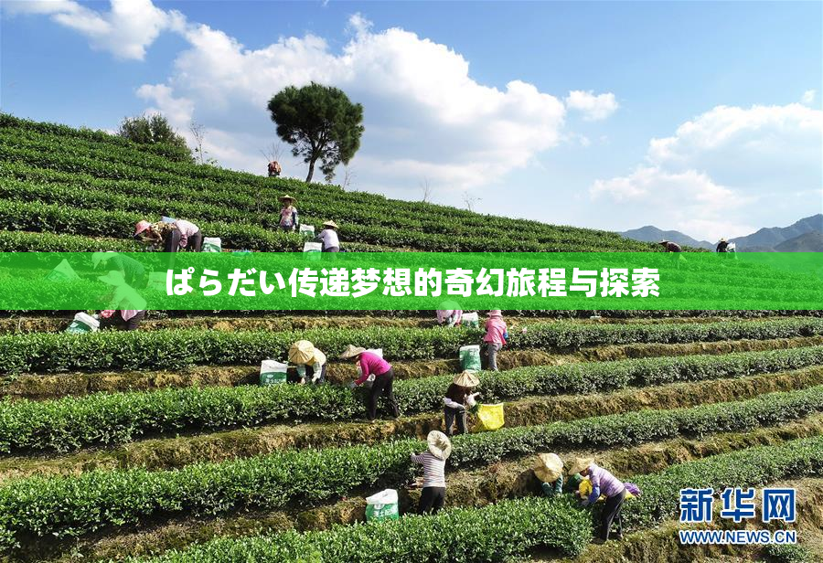 ぱらだい传递梦想的奇幻旅程与探索