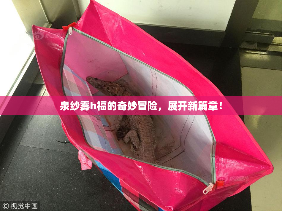 泉纱雾h福的奇妙冒险，展开新篇章！