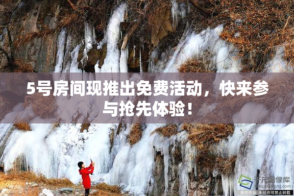 5号房间现推出免费活动，快来参与抢先体验！