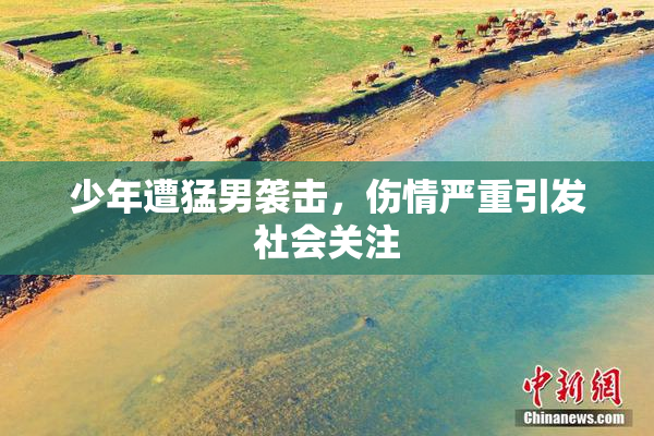 少年遭猛男袭击，伤情严重引发社会关注