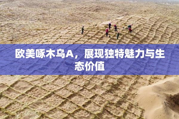 欧美啄木乌A，展现独特魅力与生态价值