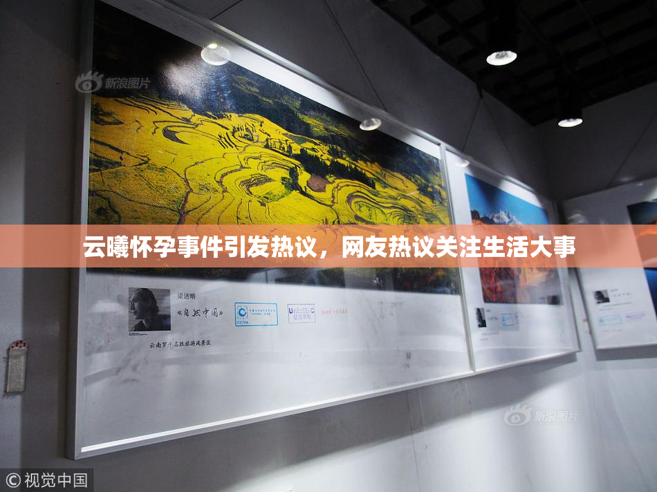 云曦怀孕事件引发热议，网友热议关注生活大事