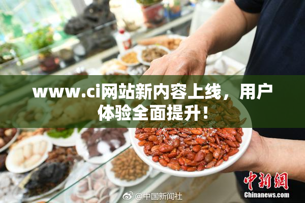 www.ci网站新内容上线，用户体验全面提升！