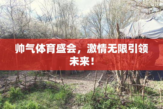 帅气体育盛会，激情无限引领未来！
