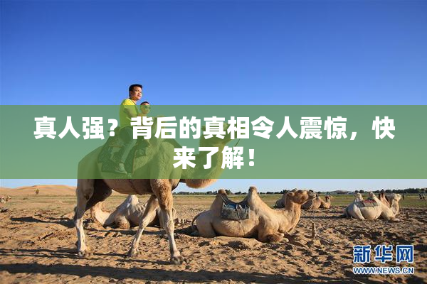 真人强？背后的真相令人震惊，快来了解！