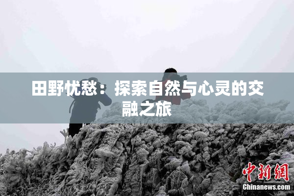 田野忧愁：探索自然与心灵的交融之旅