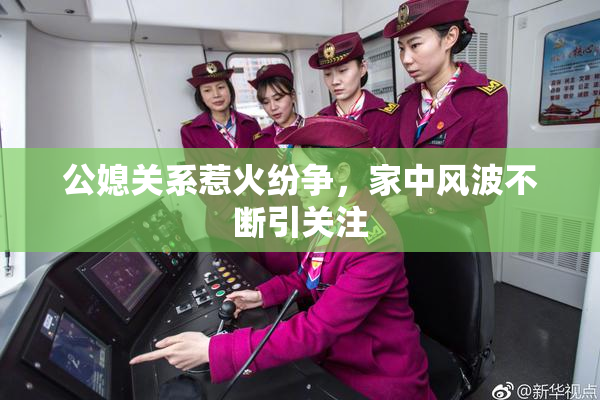 公媳关系惹火纷争，家中风波不断引关注