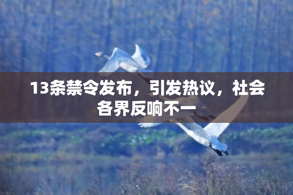 13条禁令发布，引发热议，社会各界反响不一