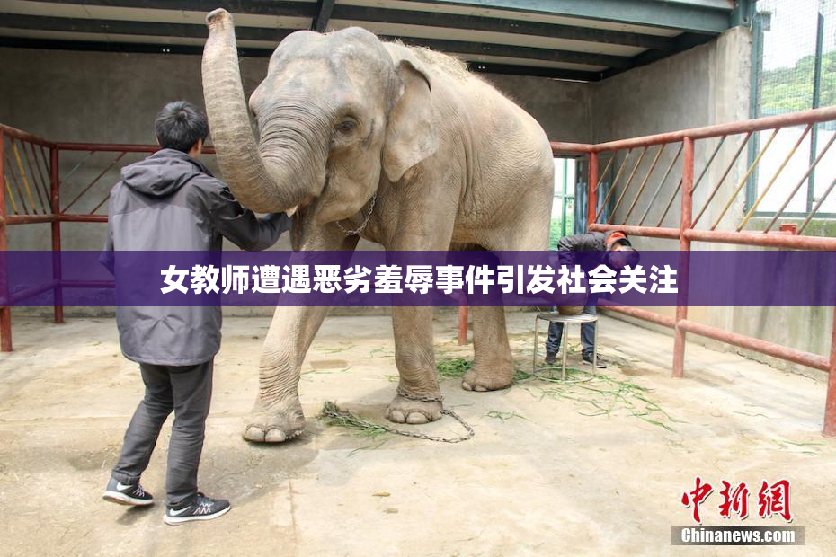 女教师遭遇恶劣羞辱事件引发社会关注