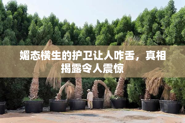 媚态横生的护卫让人咋舌，真相揭露令人震惊