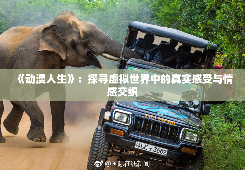 《动漫人生》：探寻虚拟世界中的真实感受与情感交织