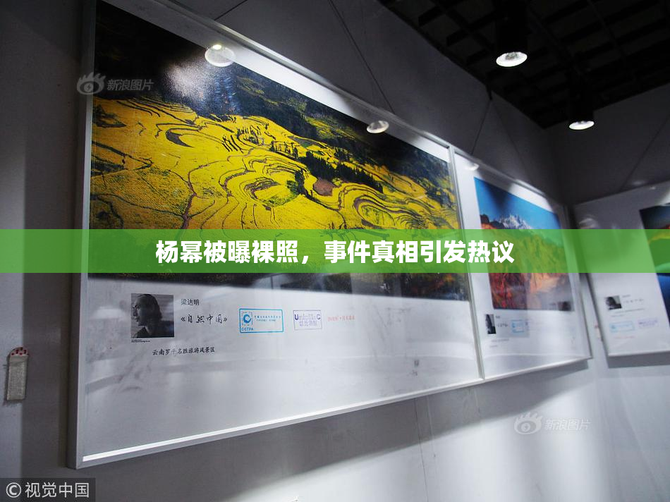 杨幂被曝裸照，事件真相引发热议