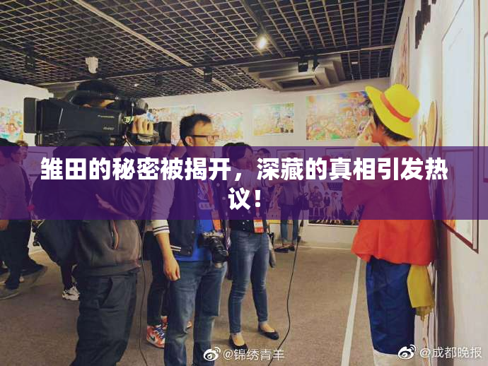 雏田的秘密被揭开，深藏的真相引发热议！