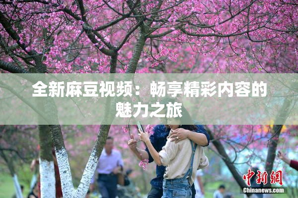 全新麻豆视频：畅享精彩内容的魅力之旅