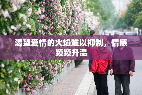 渴望爱情的火焰难以抑制，情感频频升温