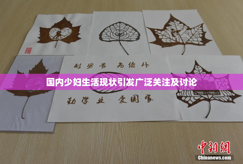 国内少妇生活现状引发广泛关注及讨论