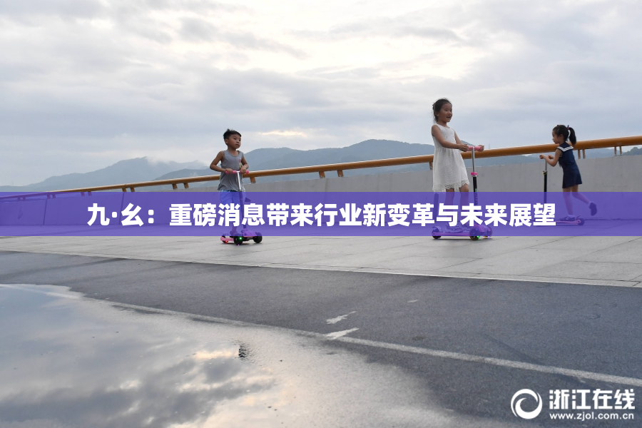 九·幺：重磅消息带来行业新变革与未来展望
