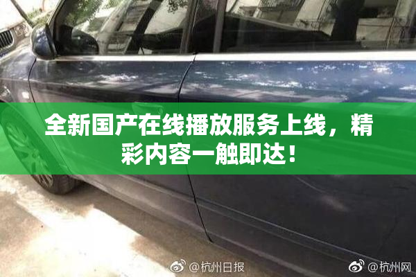 全新国产在线播放服务上线，精彩内容一触即达！