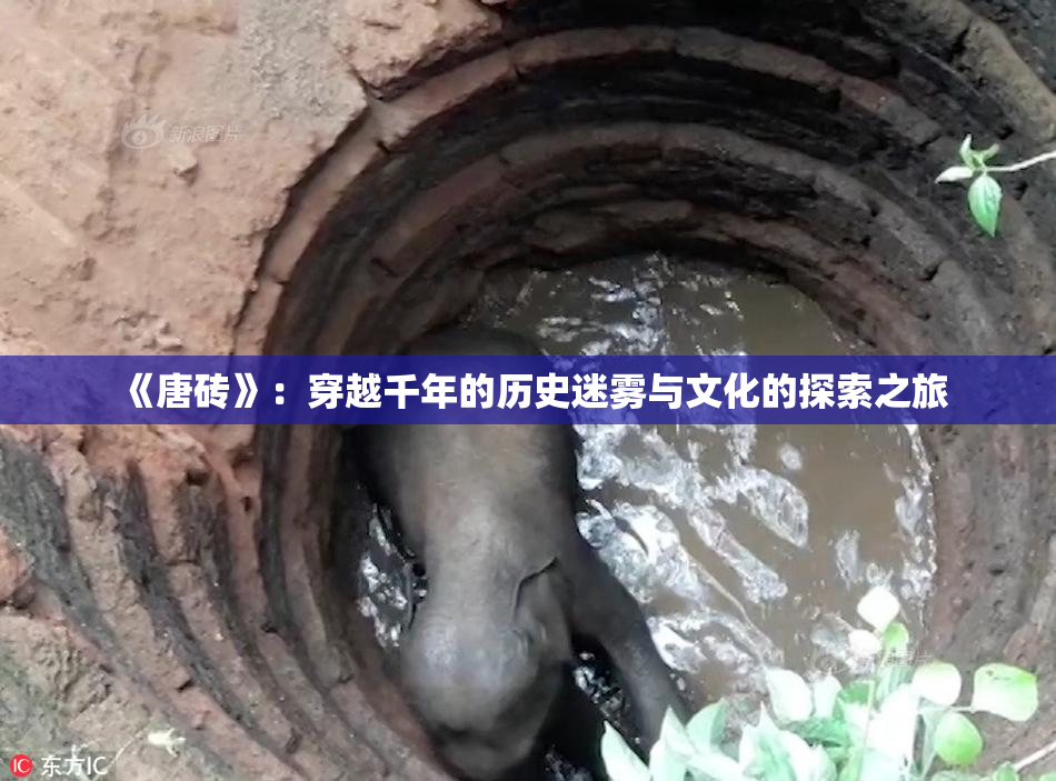 《唐砖》：穿越千年的历史迷雾与文化的探索之旅